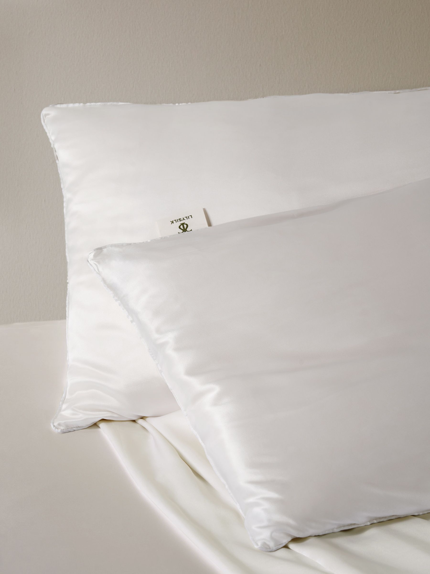 Silk Covered Silk Pillow