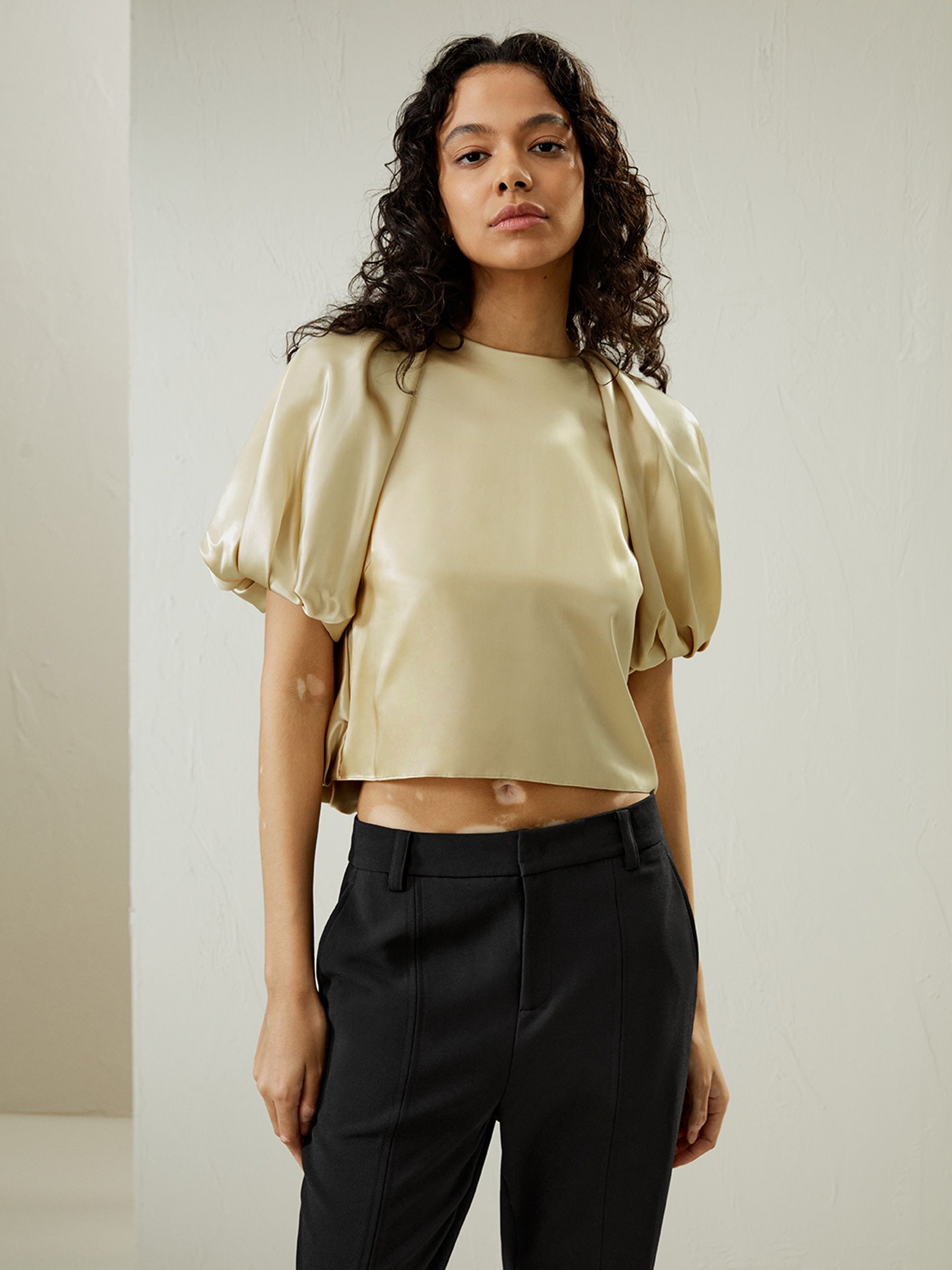 Puff Short Sleeve Watershine Silk Top